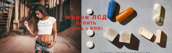 стаф Алексин