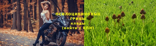 прущие крисы Алексеевка
