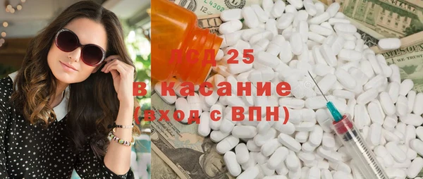 стаф Алексин
