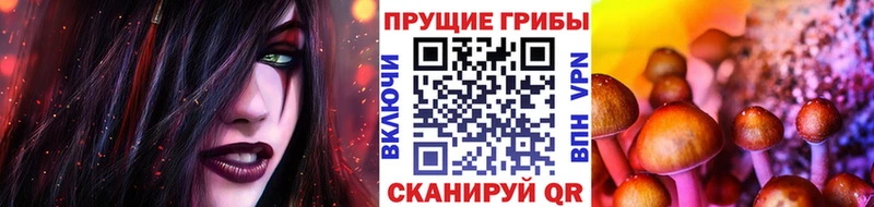 hydra ССЫЛКА  Заволжск  Псилоцибиновые грибы GOLDEN TEACHER 